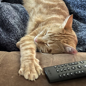 Meet your Posher, Kathy